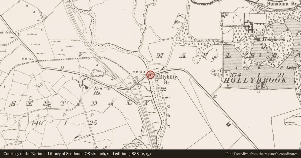 Ordnance Survey six-inch map, 2nd edition (1888–1915) covering the location of Bridge, Gortnamucklagh, Maulbrack, County Cork, with a pin at the register's coordinates
