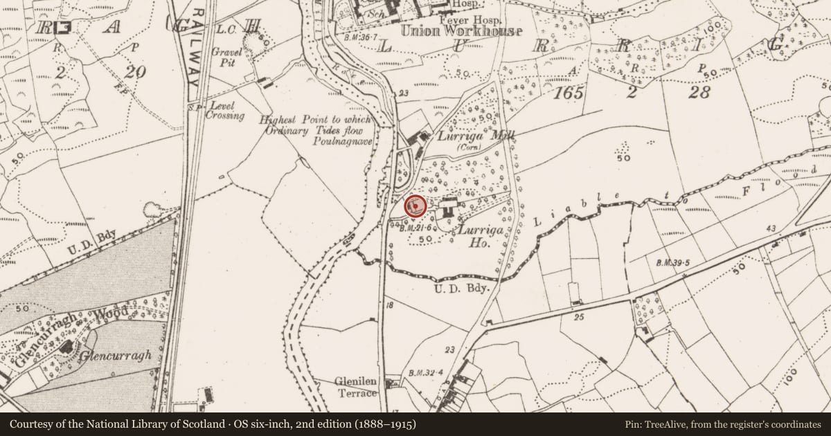 Ordnance Survey six-inch map, 2nd edition (1888–1915) covering the location of Souterrain, Lurriga, County Cork, with a pin at the register's coordinates