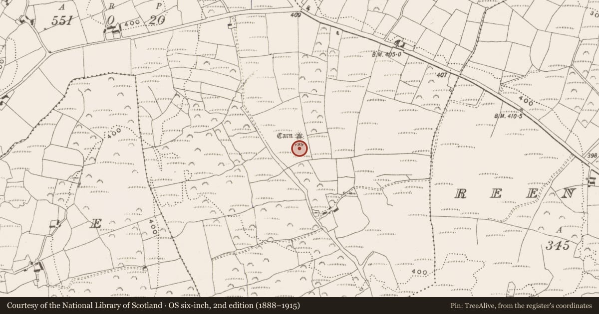 Ordnance Survey six-inch map, 2nd edition (1888–1915) covering the location of Cairn - unclassified, Skeagh, County Cork, with a pin at the register's coordinates