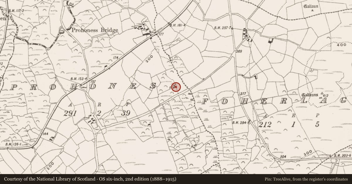 Ordnance Survey six-inch map, 2nd edition (1888–1915) covering the location of Standing stone - pair, Prohoness, County Cork, with a pin at the register's coordinates