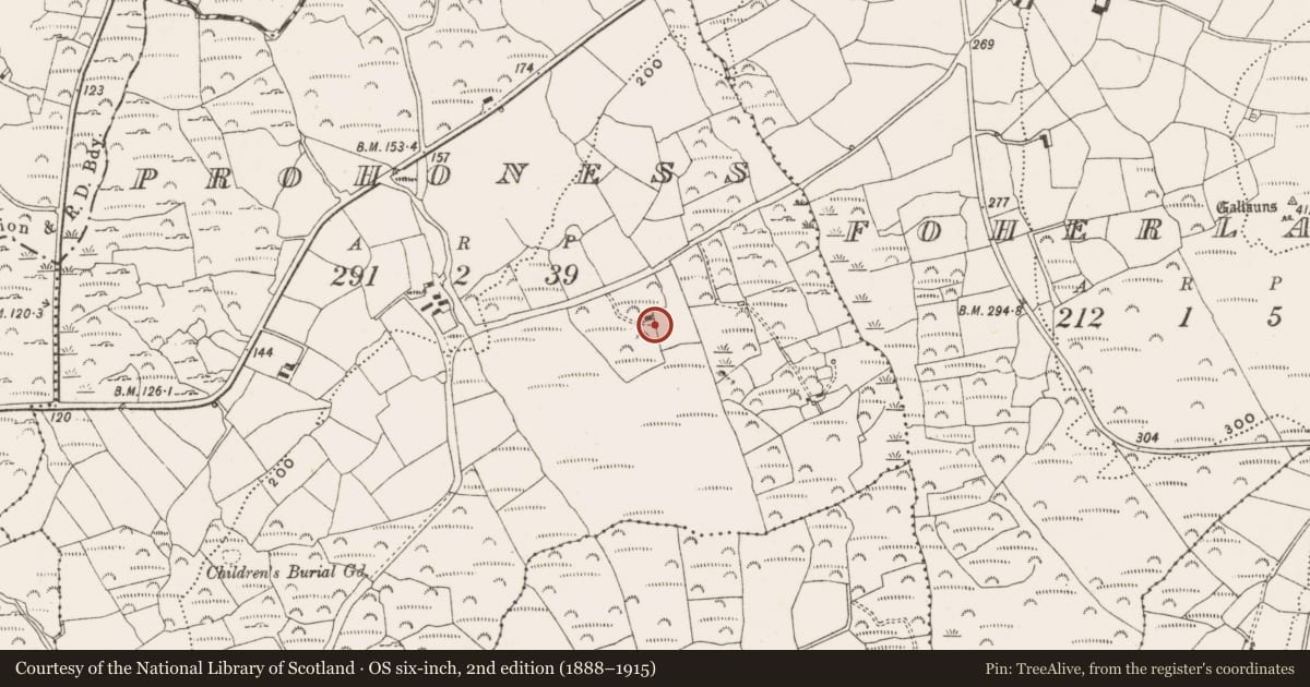 Ordnance Survey six-inch map, 2nd edition (1888–1915) covering the location of Cupmarked stone, Prohoness, County Cork, with a pin at the register's coordinates