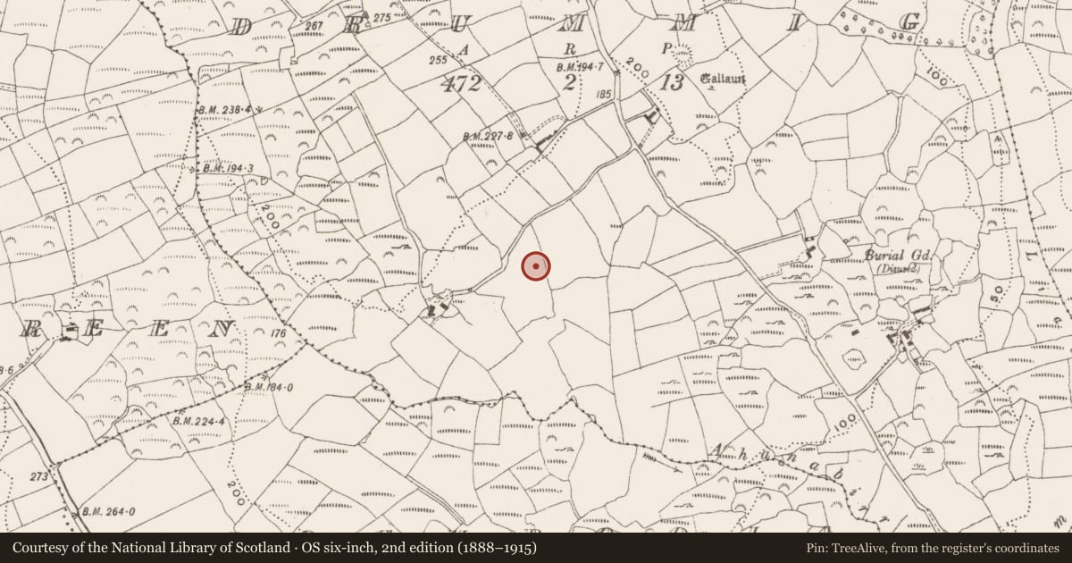 Ordnance Survey six-inch map, 2nd edition (1888–1915) covering the location of Cupmarked stone, Drummig, County Cork, with a pin at the register's coordinates