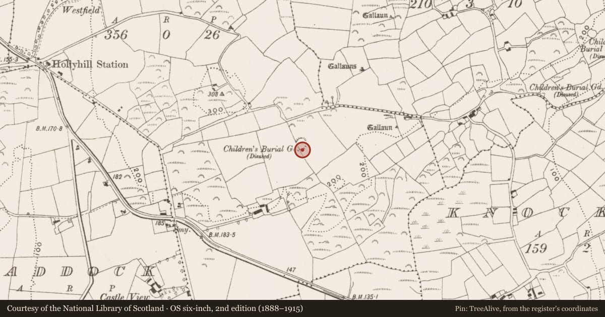 Ordnance Survey six-inch map, 2nd edition (1888–1915) covering the location of Cupmarked stone, Hollyhill, County Cork, with a pin at the register's coordinates