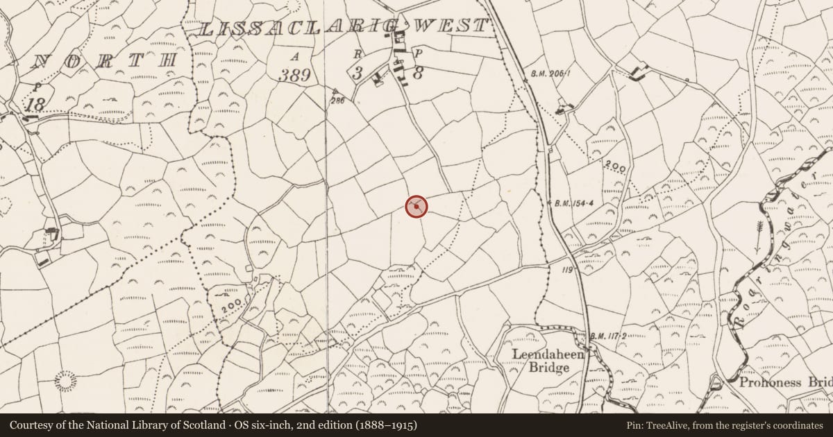 Ordnance Survey six-inch map, 2nd edition (1888–1915) covering the location of Standing stone, Lissaclarig West, County Cork, with a pin at the register's coordinates
