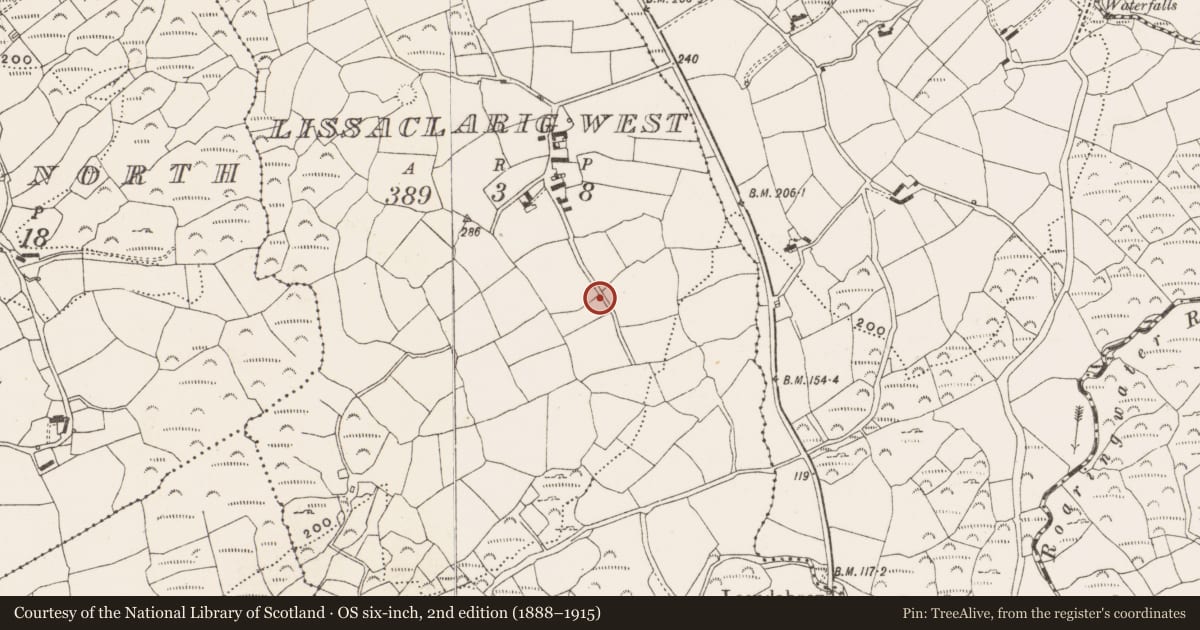 Ordnance Survey six-inch map, 2nd edition (1888–1915) covering the location of Souterrain, Lissaclarig West, County Cork, with a pin at the register's coordinates