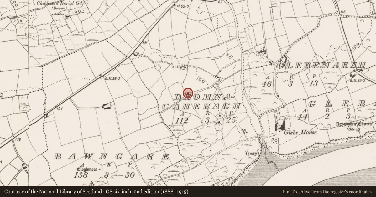 Ordnance Survey six-inch map, 2nd edition (1888–1915) covering the location of Souterrain, Dromnacaheragh, County Cork, with a pin at the register's coordinates