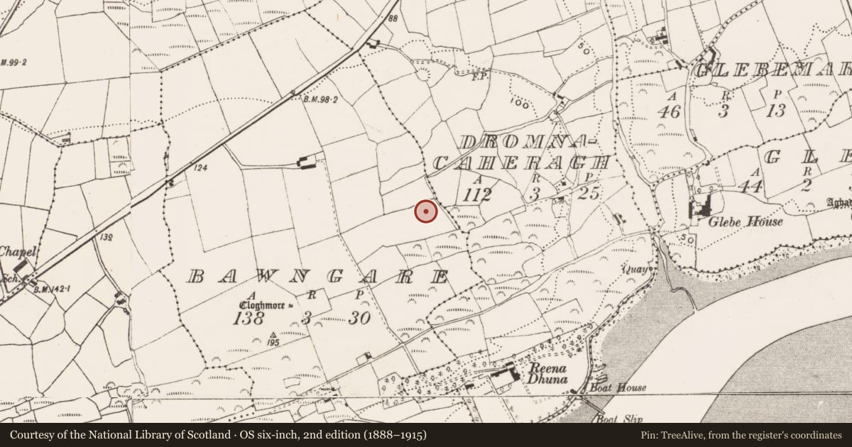 Ordnance Survey six-inch map, 2nd edition (1888–1915) covering the location of Standing stone, Bawngare, County Cork, with a pin at the register's coordinates