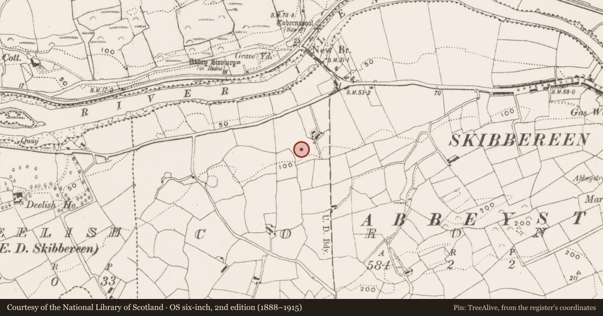 Ordnance Survey six-inch map, 2nd edition (1888–1915) covering the location of Standing stone, Coronea, County Cork, with a pin at the register's coordinates