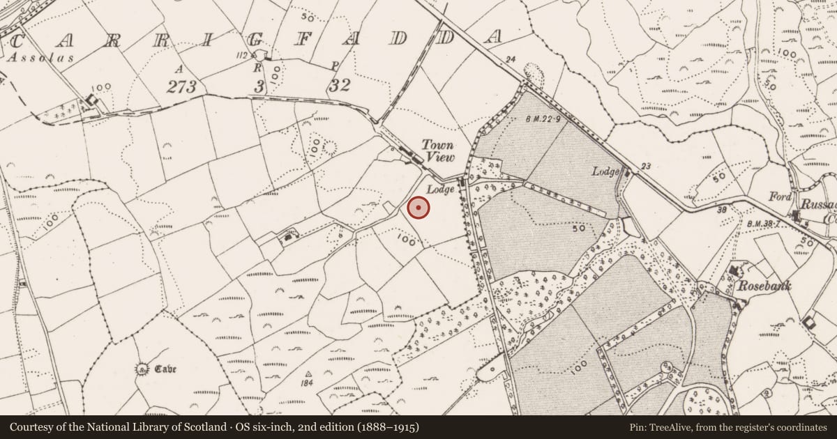 Ordnance Survey six-inch map, 2nd edition (1888–1915) covering the location of Standing stone, Carrigfadda, County Cork, with a pin at the register's coordinates