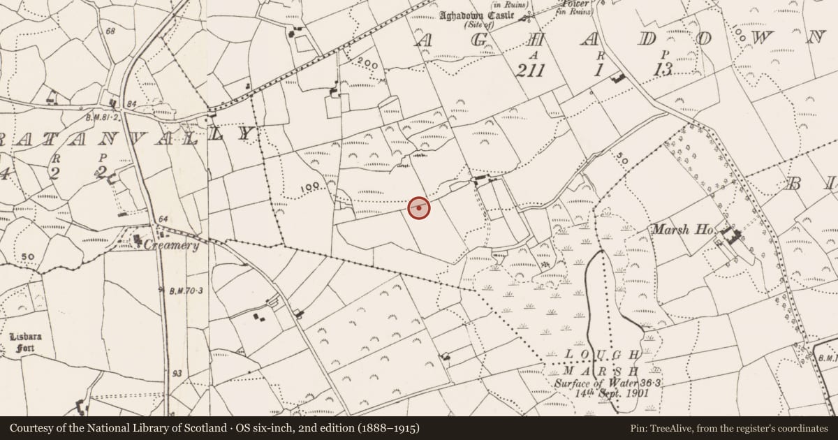 Ordnance Survey six-inch map, 2nd edition (1888–1915) covering the location of Souterrain, Aghadown, County Cork, with a pin at the register's coordinates