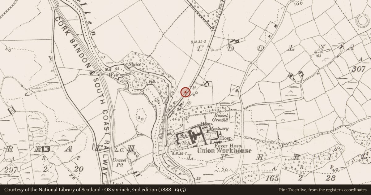 Ordnance Survey six-inch map, 2nd edition (1888–1915) covering the location of Ringfort - unclassified, Coolnagarrane, County Cork, with a pin at the register's coordinates