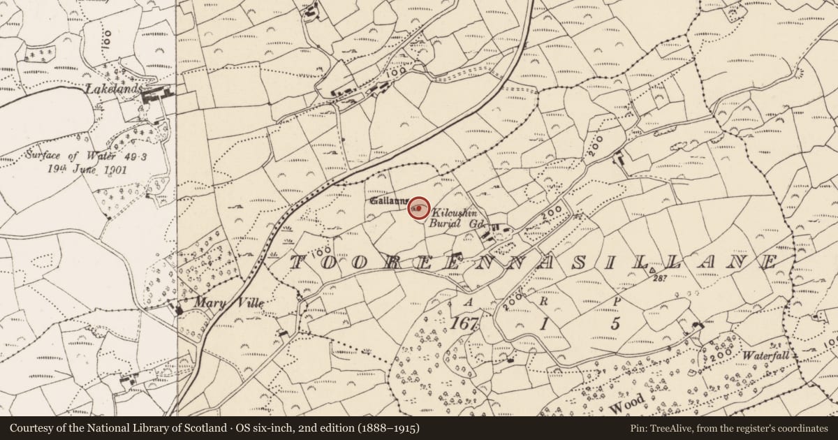 Ordnance Survey six-inch map, 2nd edition (1888–1915) covering the location of Burial ground, Tooreennasillane, County Cork, with a pin at the register's coordinates