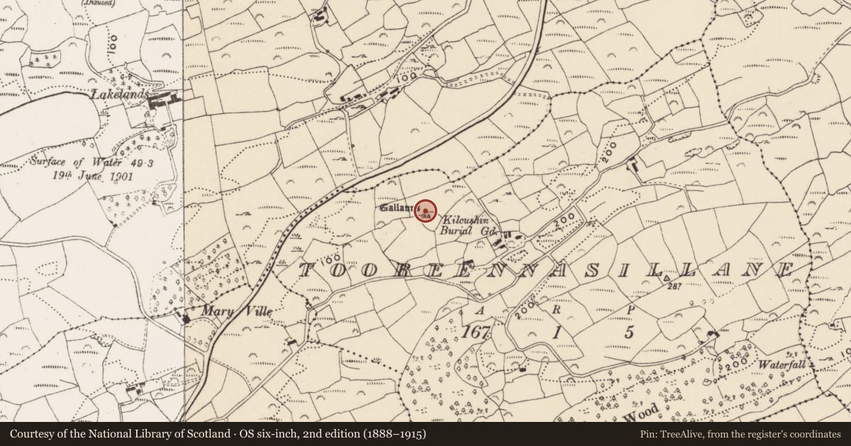 Ordnance Survey six-inch map, 2nd edition (1888–1915) covering the location of Anomalous stone group, Tooreennasillane, County Cork, with a pin at the register's coordinates