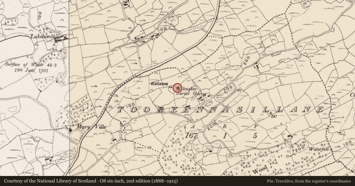 Ordnance Survey six-inch map, 2nd edition (1888–1915) covering the location of Standing stone, Tooreennasillane, County Cork, with a pin at the register's coordinates