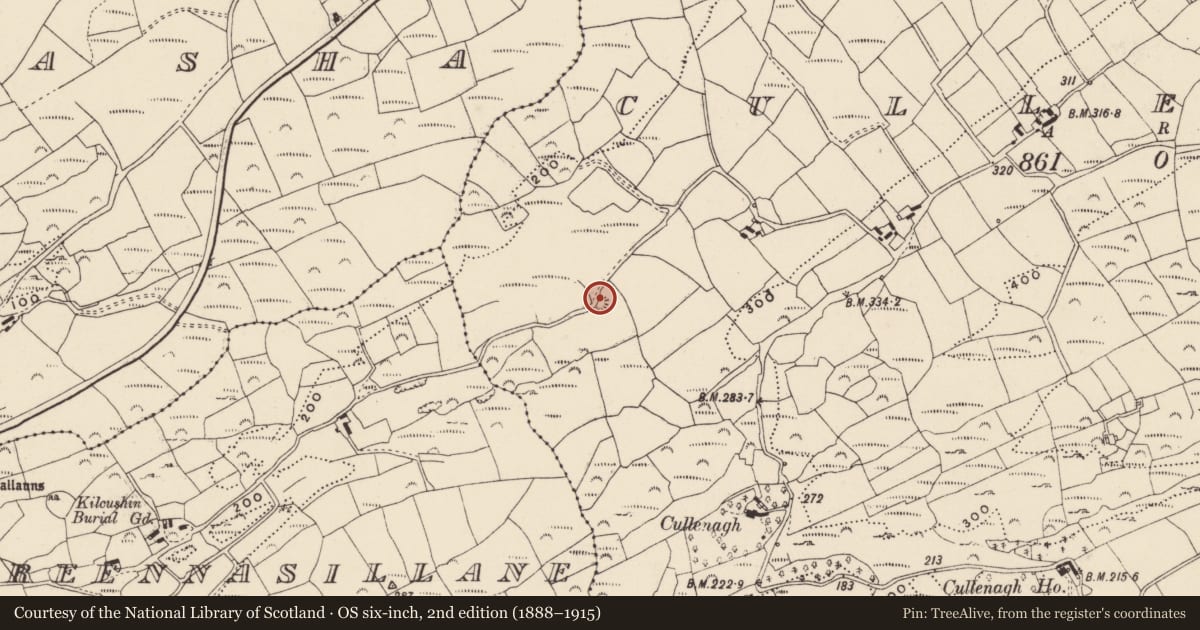 Ordnance Survey six-inch map, 2nd edition (1888–1915) covering the location of Ringfort - rath, Cullenagh, County Cork, with a pin at the register's coordinates