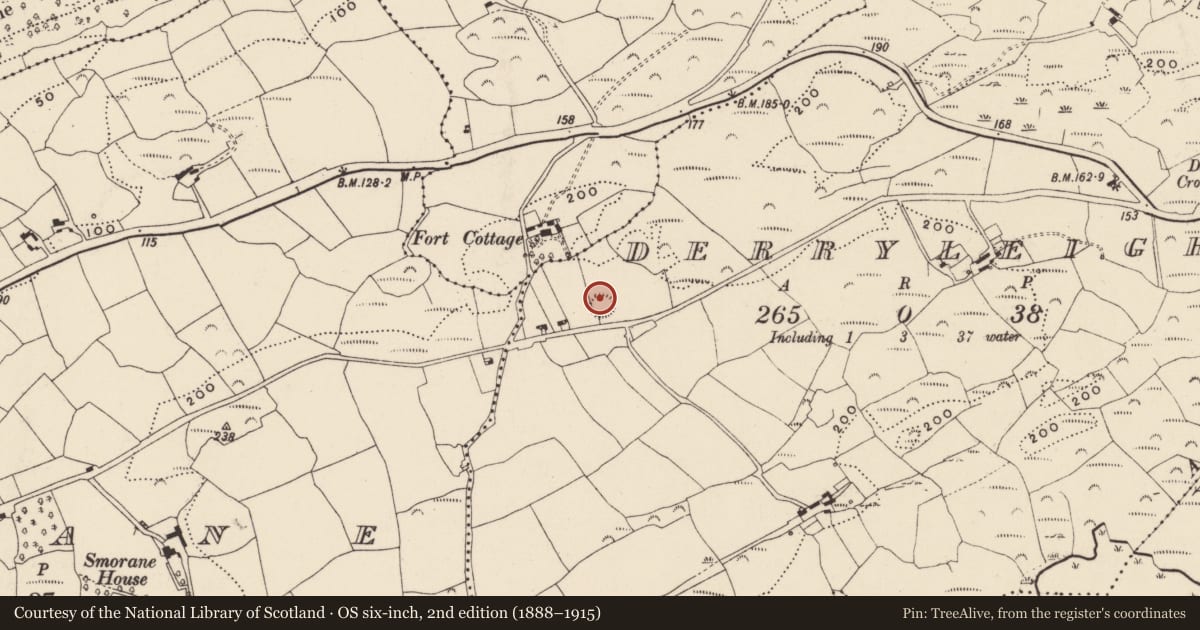 Ordnance Survey six-inch map, 2nd edition (1888–1915) covering the location of Ringfort - rath, Derryleigh, County Cork, with a pin at the register's coordinates