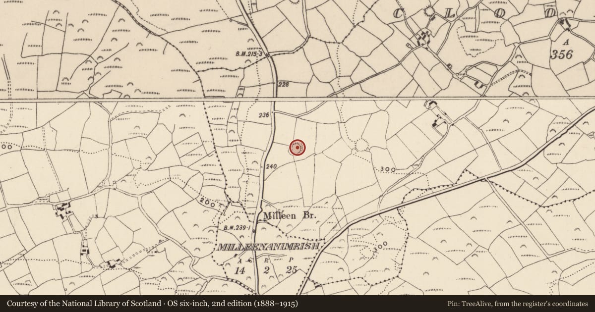 Ordnance Survey six-inch map, 2nd edition (1888–1915) covering the location of Ringfort - rath, Cloonkeen, County Cork, with a pin at the register's coordinates