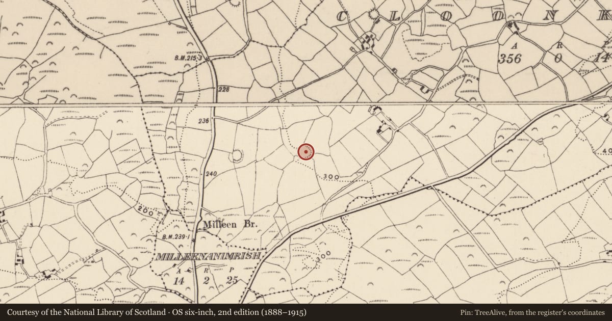 Ordnance Survey six-inch map, 2nd edition (1888–1915) covering the location of Ringfort - rath, Cloonkeen, County Cork, with a pin at the register's coordinates