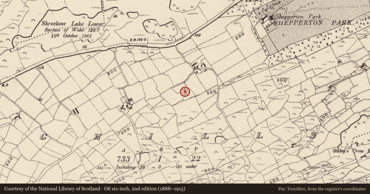 Ordnance Survey six-inch map, 2nd edition (1888–1915) covering the location of Ringfort - rath, Aghills, County Cork, with a pin at the register's coordinates