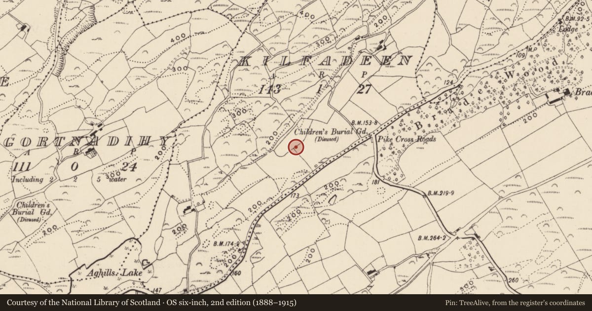Ordnance Survey six-inch map, 2nd edition (1888–1915) covering the location of Bullaun stone, Kilfadeen, County Cork, with a pin at the register's coordinates