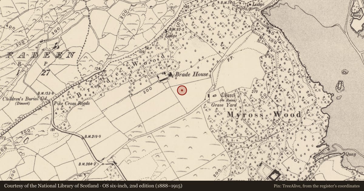 Ordnance Survey six-inch map, 2nd edition (1888–1915) covering the location of Ringfort - rath, Brade, County Cork, with a pin at the register's coordinates