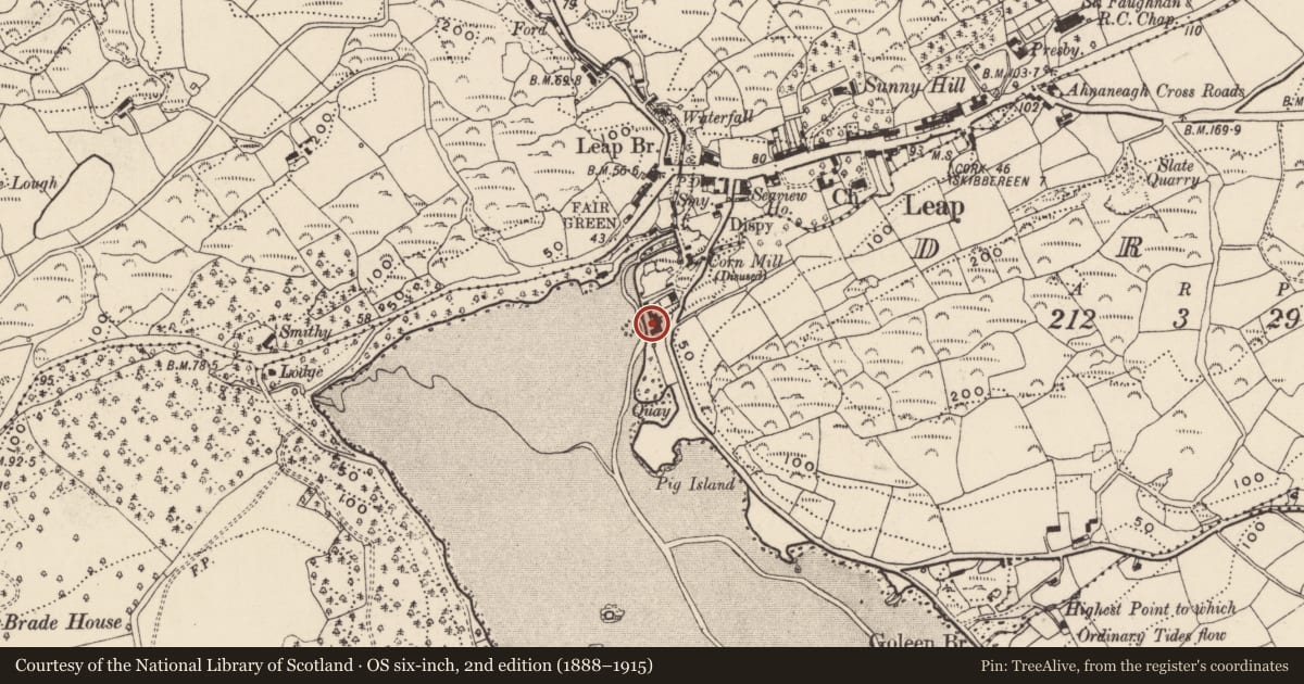 Ordnance Survey six-inch map, 2nd edition (1888–1915) covering the location of Corn store, Drom, County Cork, with a pin at the register's coordinates