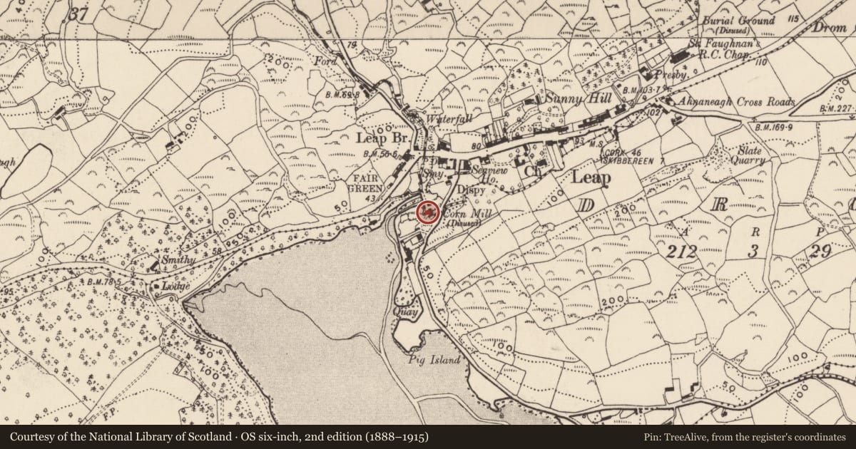 Ordnance Survey six-inch map, 2nd edition (1888–1915) covering the location of Mill - corn, Drom, County Cork, with a pin at the register's coordinates