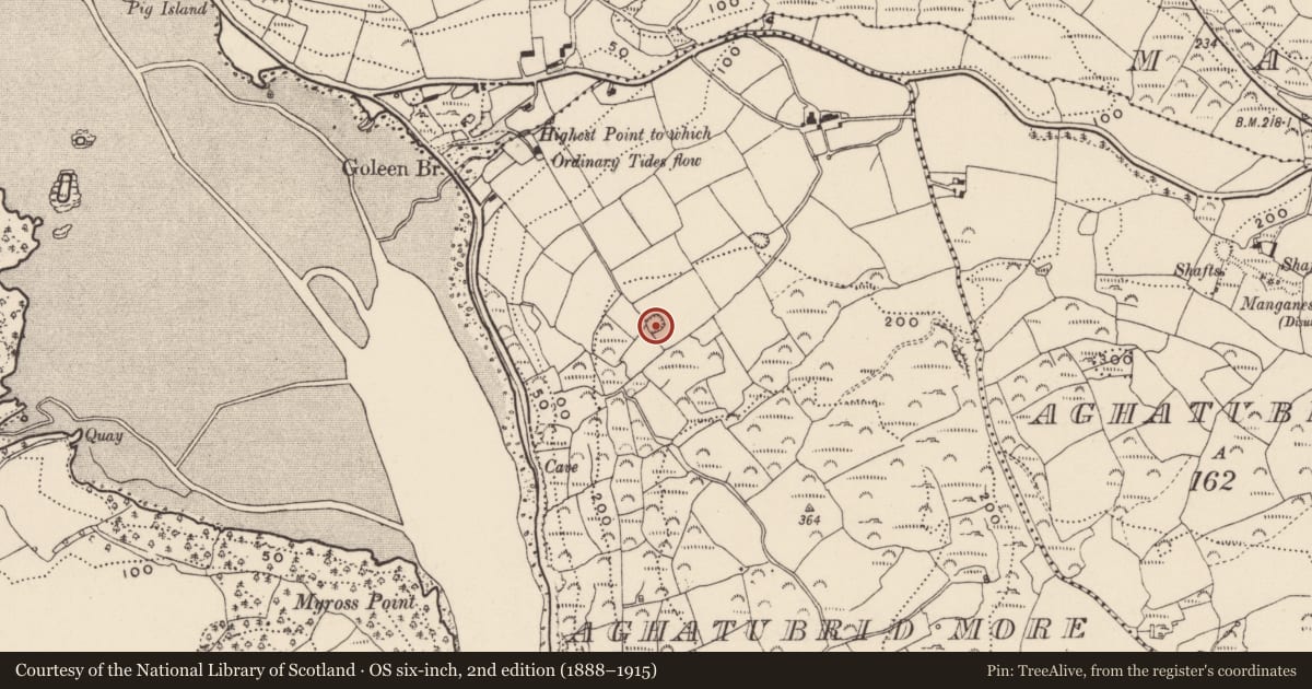 Ordnance Survey six-inch map, 2nd edition (1888–1915) covering the location of Ringfort - rath, Aghatubrid More, County Cork, with a pin at the register's coordinates