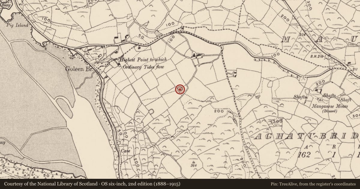 Ordnance Survey six-inch map, 2nd edition (1888–1915) covering the location of Ringfort - rath, Aghatubrid More, County Cork, with a pin at the register's coordinates