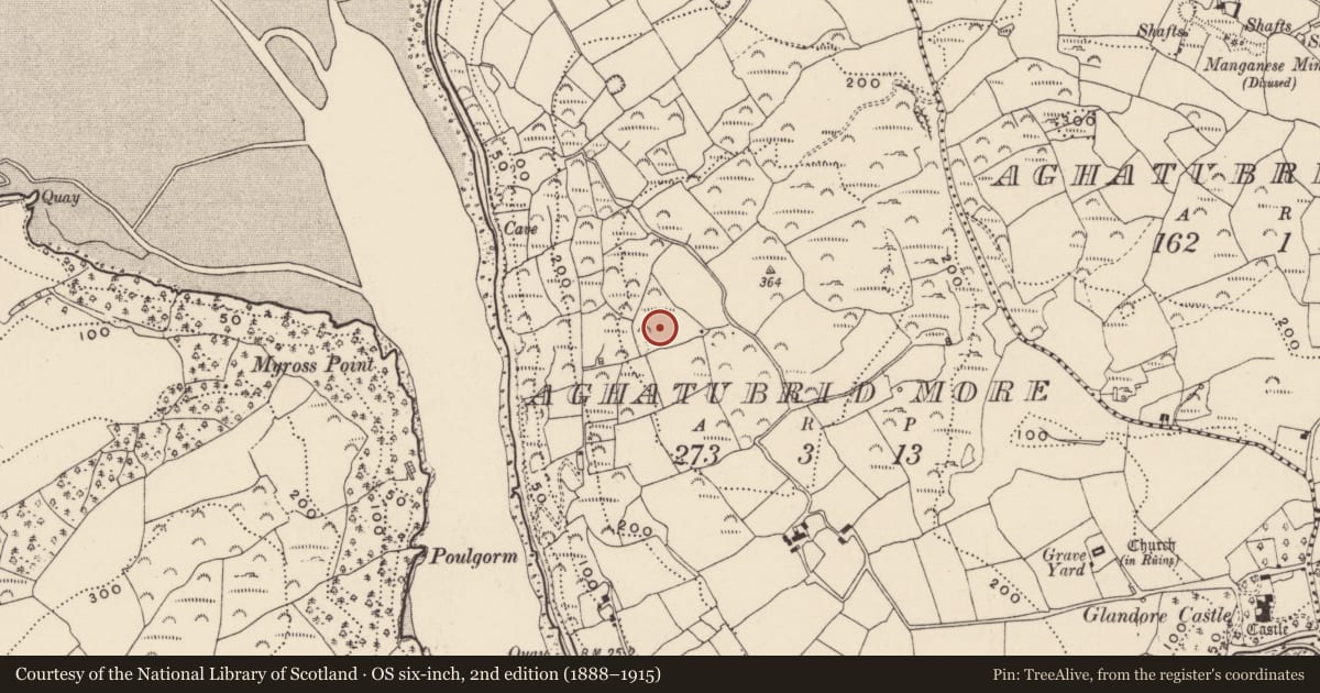 Ordnance Survey six-inch map, 2nd edition (1888–1915) covering the location of Enclosure, Aghatubrid More, County Cork, with a pin at the register's coordinates