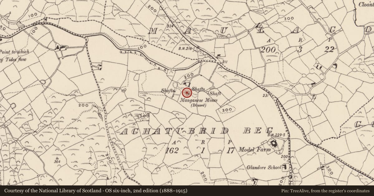 Ordnance Survey six-inch map, 2nd edition (1888–1915) covering the location of Mining complex, Aghatubrid Beg, County Cork, with a pin at the register's coordinates