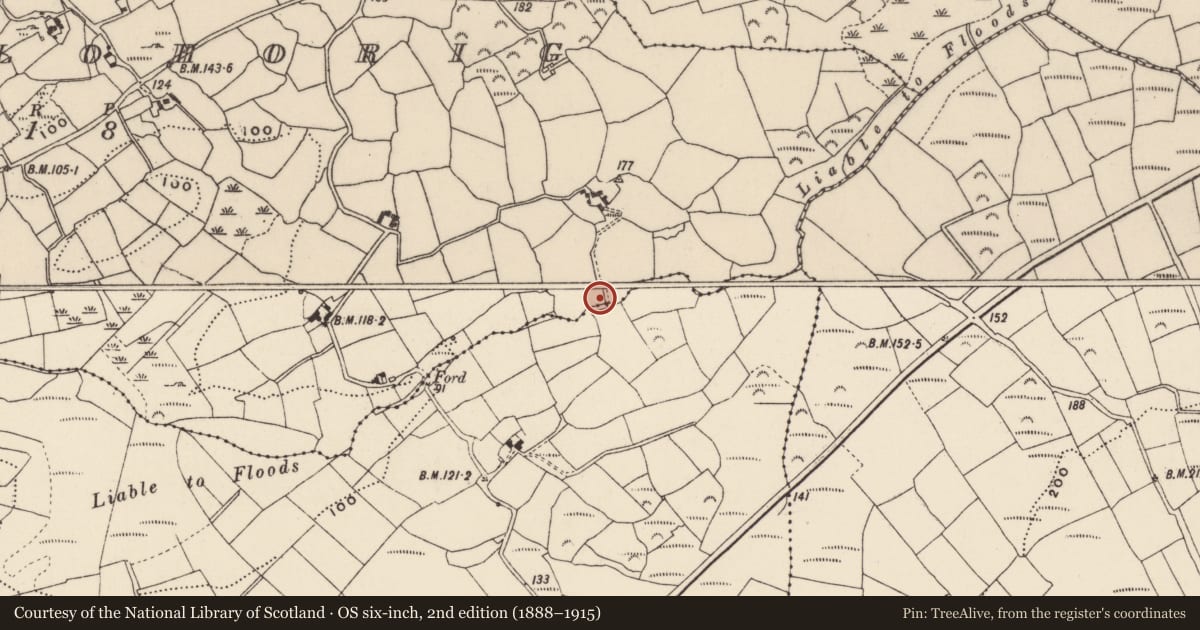 Ordnance Survey six-inch map, 2nd edition (1888–1915) covering the location of Mill - fulling, Lissalohorig, County Cork, with a pin at the register's coordinates