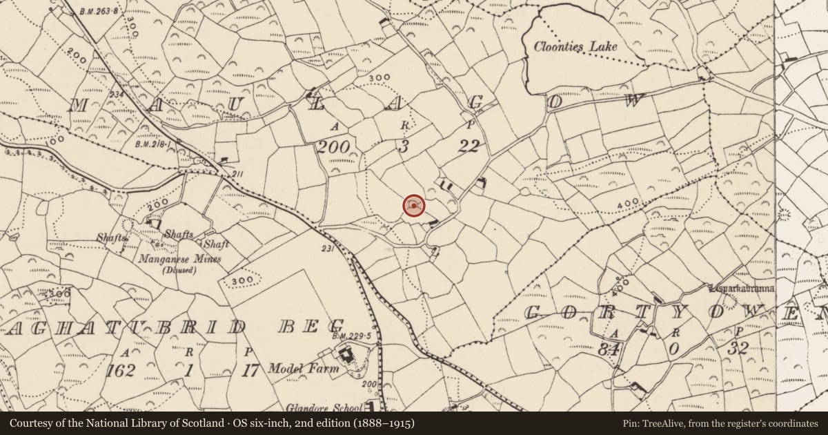 Ordnance Survey six-inch map, 2nd edition (1888–1915) covering the location of Ringfort - cashel, Maulagow, County Cork, with a pin at the register's coordinates