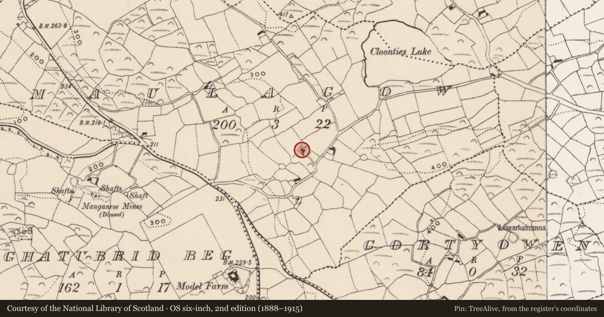 Ordnance Survey six-inch map, 2nd edition (1888–1915) covering the location of Cupmarked stone, Maulagow, County Cork, with a pin at the register's coordinates