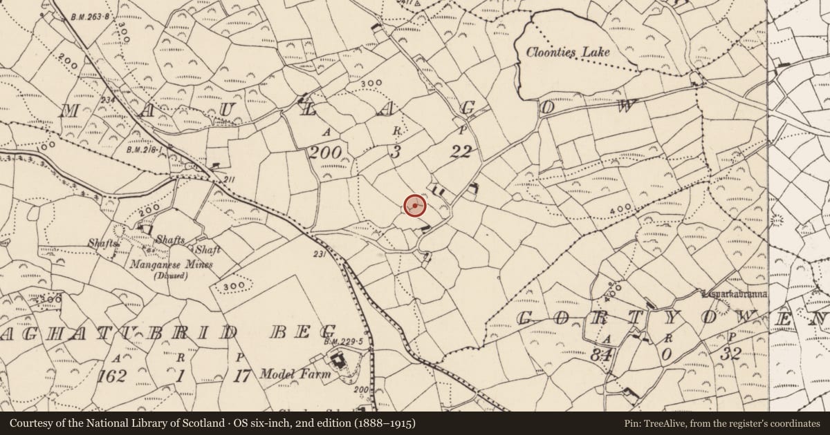 Ordnance Survey six-inch map, 2nd edition (1888–1915) covering the location of Enclosure, Maulagow, County Cork, with a pin at the register's coordinates