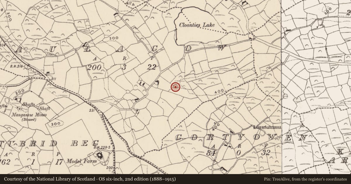 Ordnance Survey six-inch map, 2nd edition (1888–1915) covering the location of Ringfort - cashel, Maulagow, County Cork, with a pin at the register's coordinates