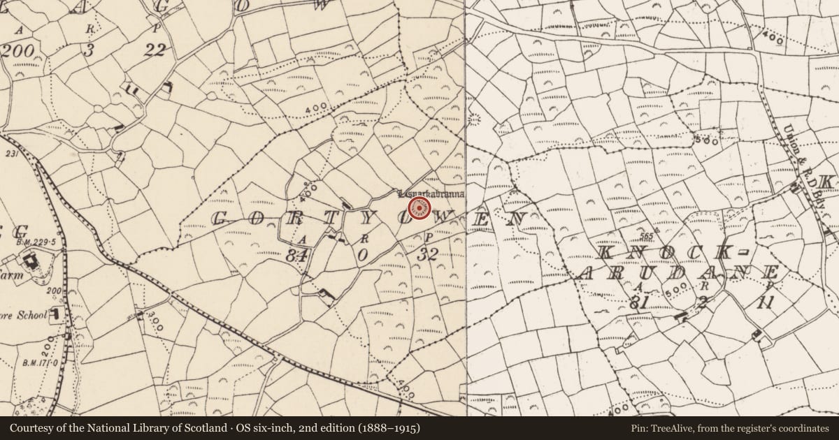 Ordnance Survey six-inch map, 2nd edition (1888–1915) covering the location of Ringfort - rath, Gortyowen, County Cork, with a pin at the register's coordinates
