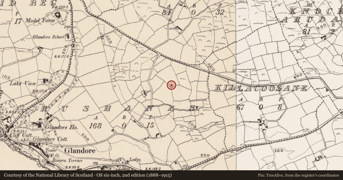 Ordnance Survey six-inch map, 2nd edition (1888–1915) covering the location of Ringfort - rath, Rushanes, County Cork, with a pin at the register's coordinates