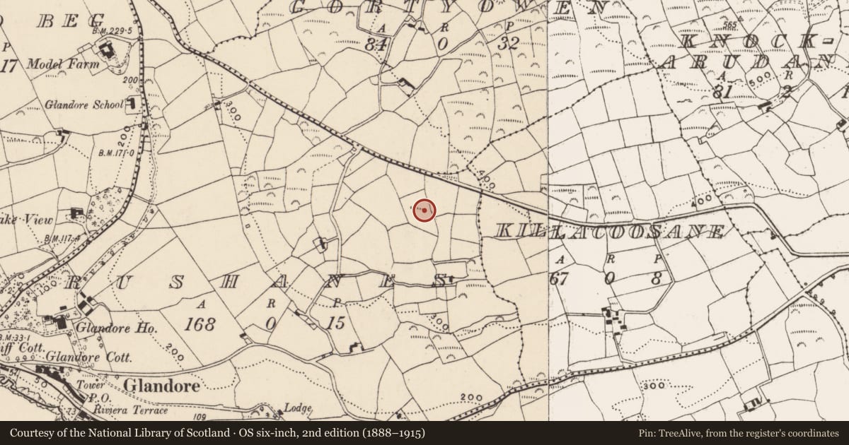 Ordnance Survey six-inch map, 2nd edition (1888–1915) covering the location of Burial, Rushanes, County Cork, with a pin at the register's coordinates