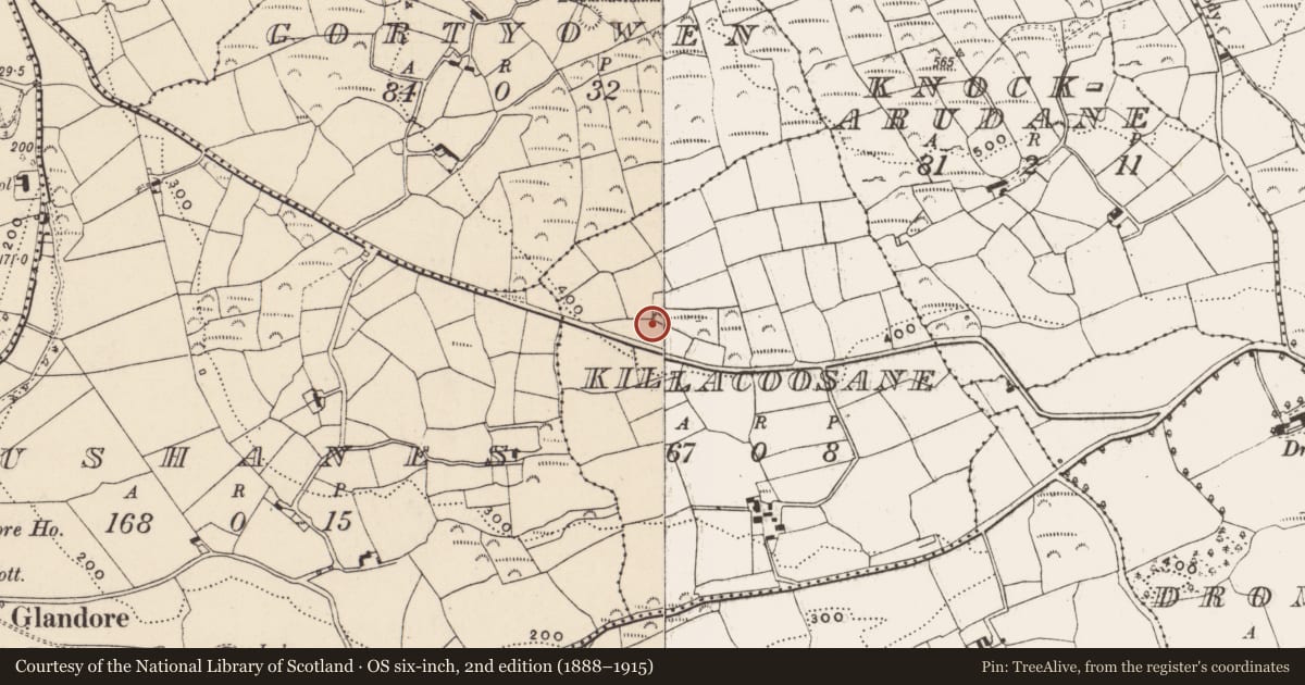 Ordnance Survey six-inch map, 2nd edition (1888–1915) covering the location of Enclosure, Killacoosane, County Cork, with a pin at the register's coordinates