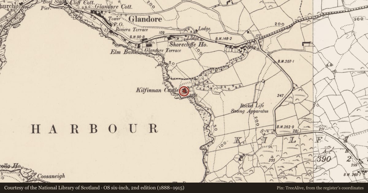 Ordnance Survey six-inch map, 2nd edition (1888–1915) covering the location of Castle - tower house, Kilfinnan, County Cork, with a pin at the register's coordinates