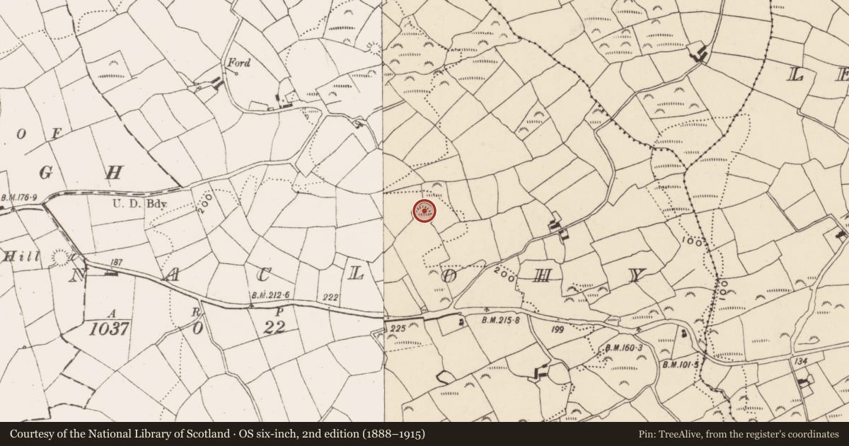 Ordnance Survey six-inch map, 2nd edition (1888–1915) covering the location of Ringfort - rath, Gortnaclohy, County Cork, with a pin at the register's coordinates