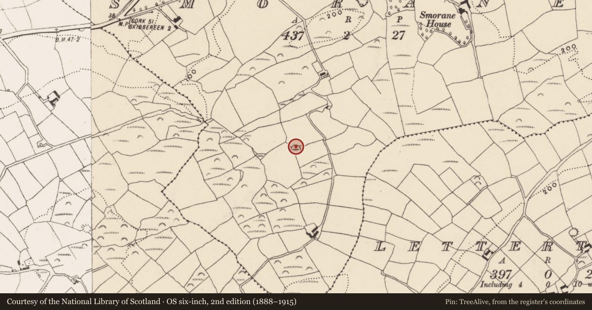 Ordnance Survey six-inch map, 2nd edition (1888–1915) covering the location of Ringfort - rath, Smorane, County Cork, with a pin at the register's coordinates
