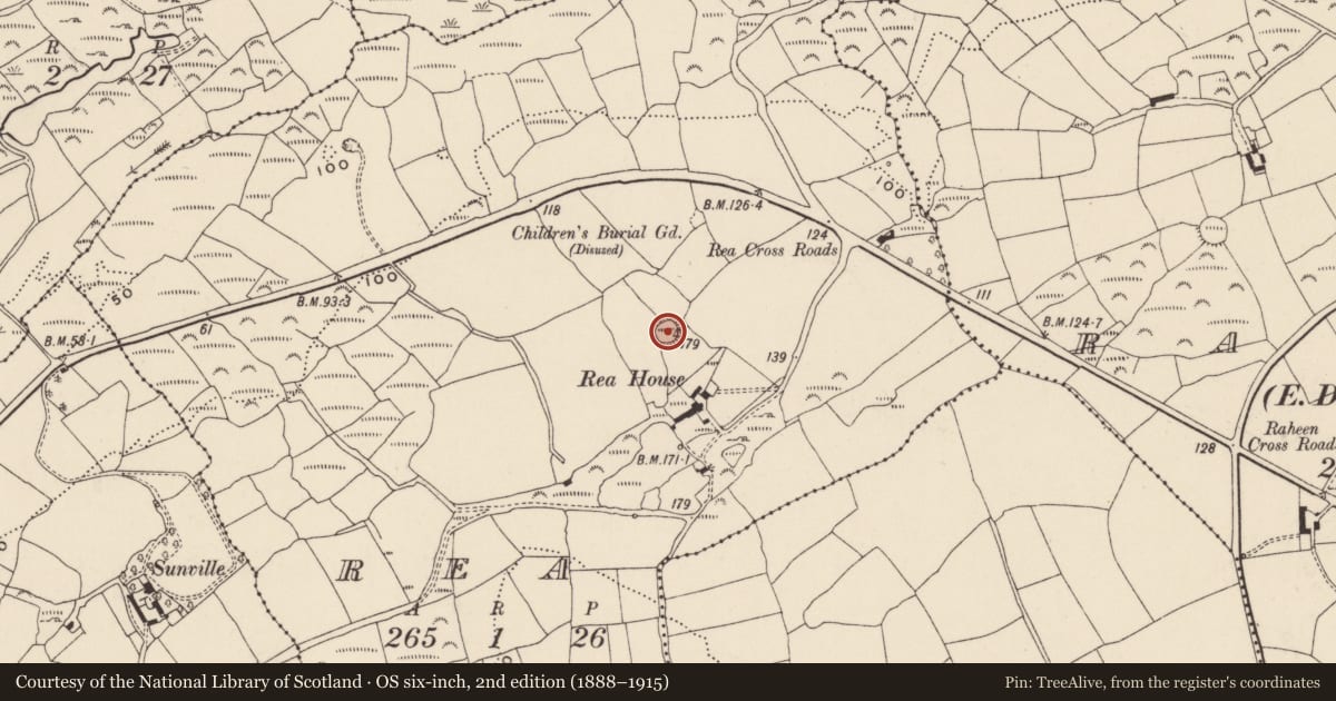 Ordnance Survey six-inch map, 2nd edition (1888–1915) covering the location of Ringfort - rath, Rea, County Cork, with a pin at the register's coordinates