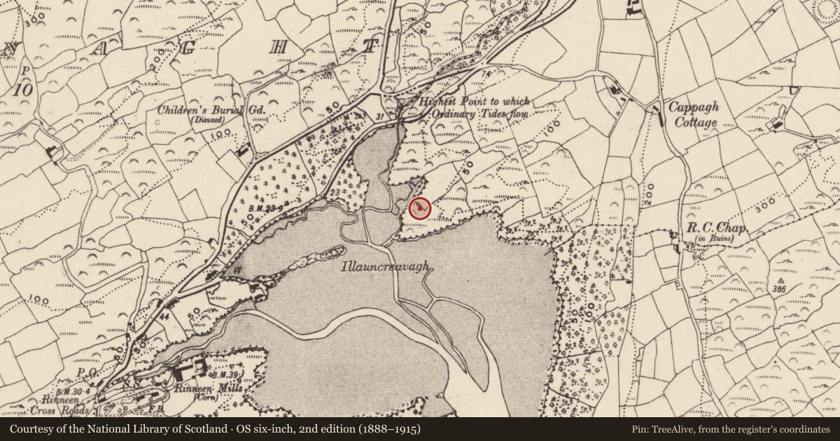 Ordnance Survey six-inch map, 2nd edition (1888–1915) covering the location of Kiln - lime, Bawnlahan (Carbery West (W.D.) By., Myross Par.), County Cork, with a pin at the register's coordinates