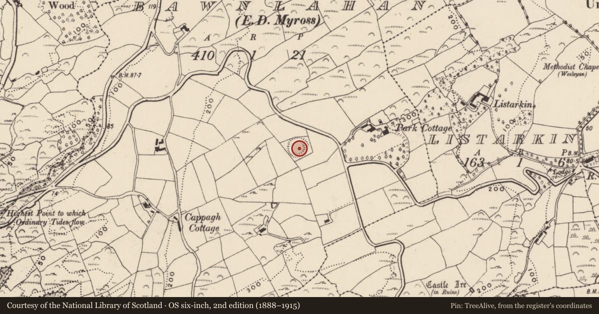 Ordnance Survey six-inch map, 2nd edition (1888–1915) covering the location of Ringfort - rath, Bawnlahan (Carbery West (W.D.) By., Myross Par.), County Cork, with a pin at the register's coordinates