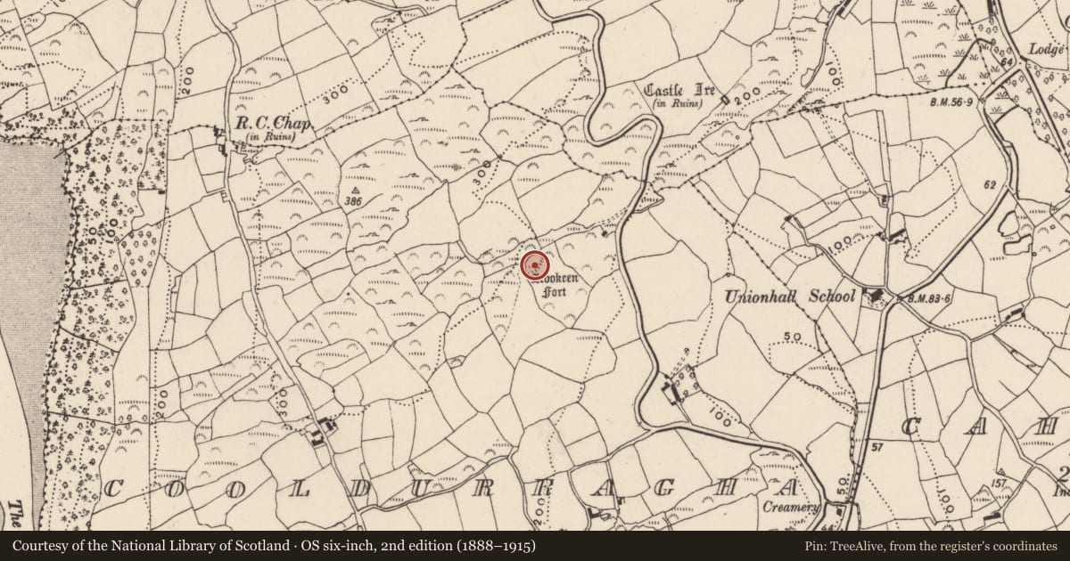 Ordnance Survey six-inch map, 2nd edition (1888–1915) covering the location of Ringfort - cashel, Cooldurragha, County Cork, with a pin at the register's coordinates