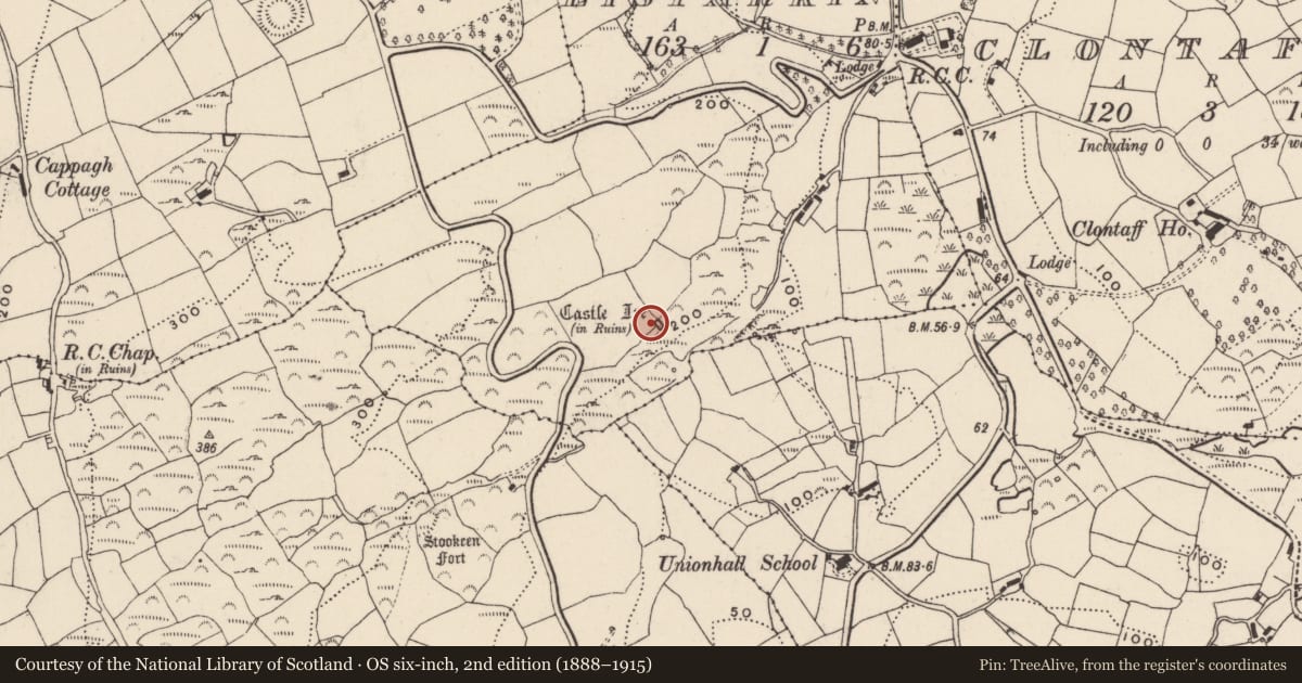 Ordnance Survey six-inch map, 2nd edition (1888–1915) covering the location of Castle - tower house, Listarkin, County Cork, with a pin at the register's coordinates