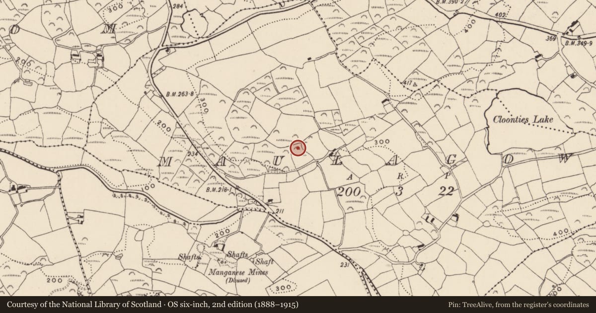 Ordnance Survey six-inch map, 2nd edition (1888–1915) covering the location of Ringfort - rath, Maulagow, County Cork, with a pin at the register's coordinates