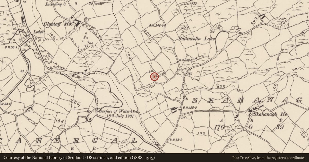 Ordnance Survey six-inch map, 2nd edition (1888–1915) covering the location of Enclosure, Ballincolla, County Cork, with a pin at the register's coordinates